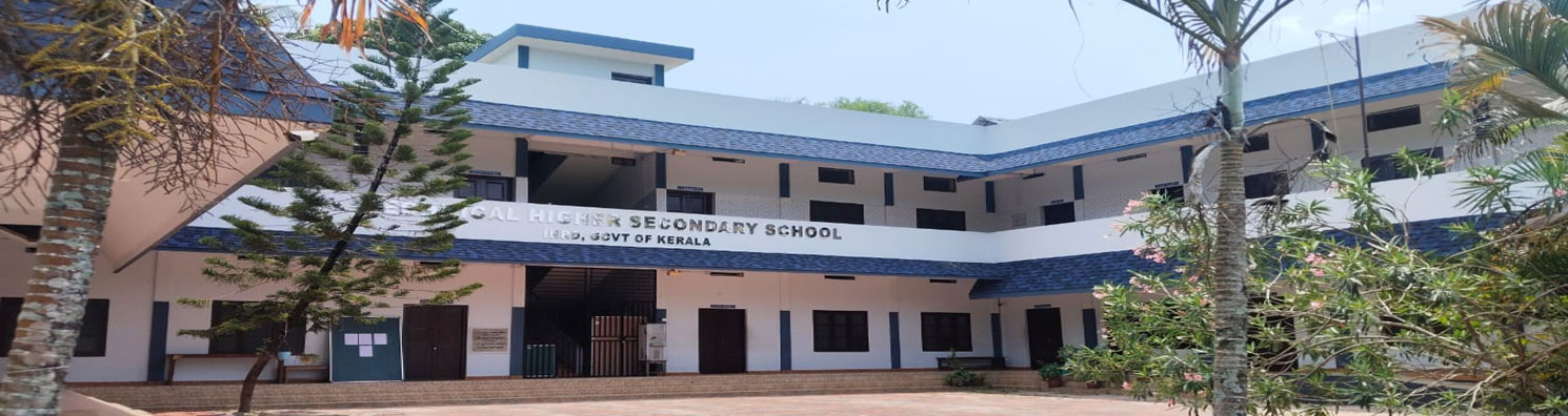 a0.jpg